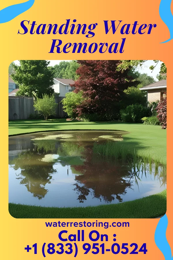 Standing Water Removal in Pawhuska, OK